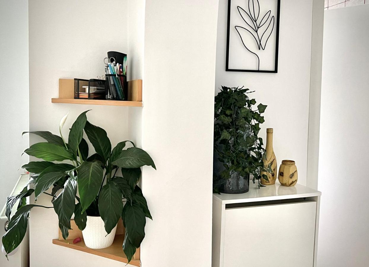 Travellers Apartment Kluž Exteriér fotografie